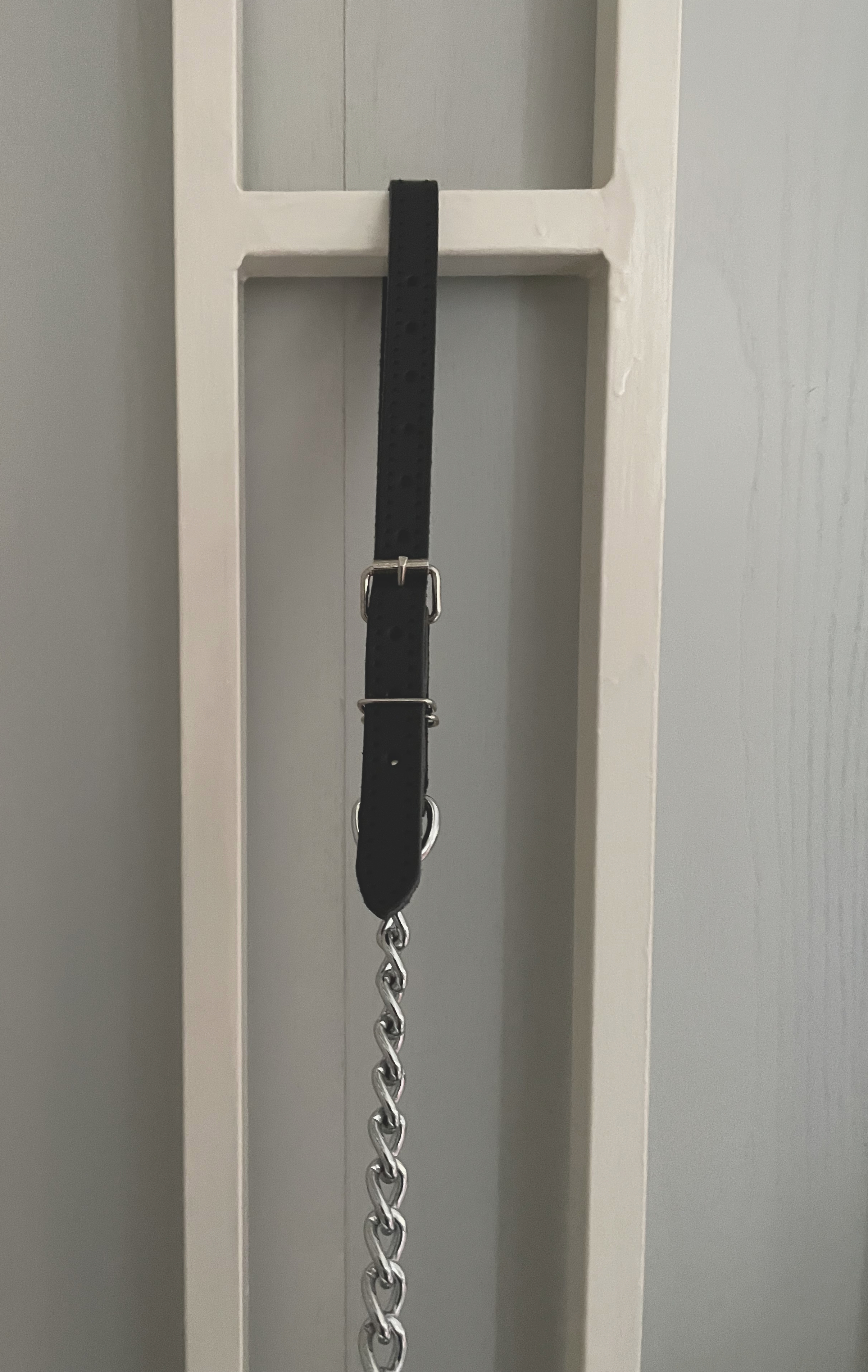 Führungsleine mit Handschlaufe zum Öffnen