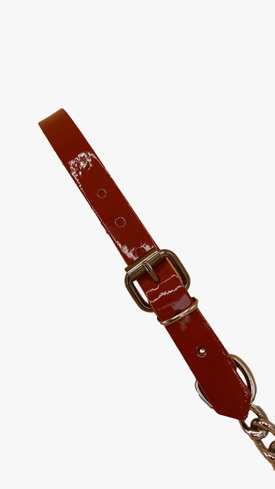 Führungsleine mit roter Lacklederschlaufe