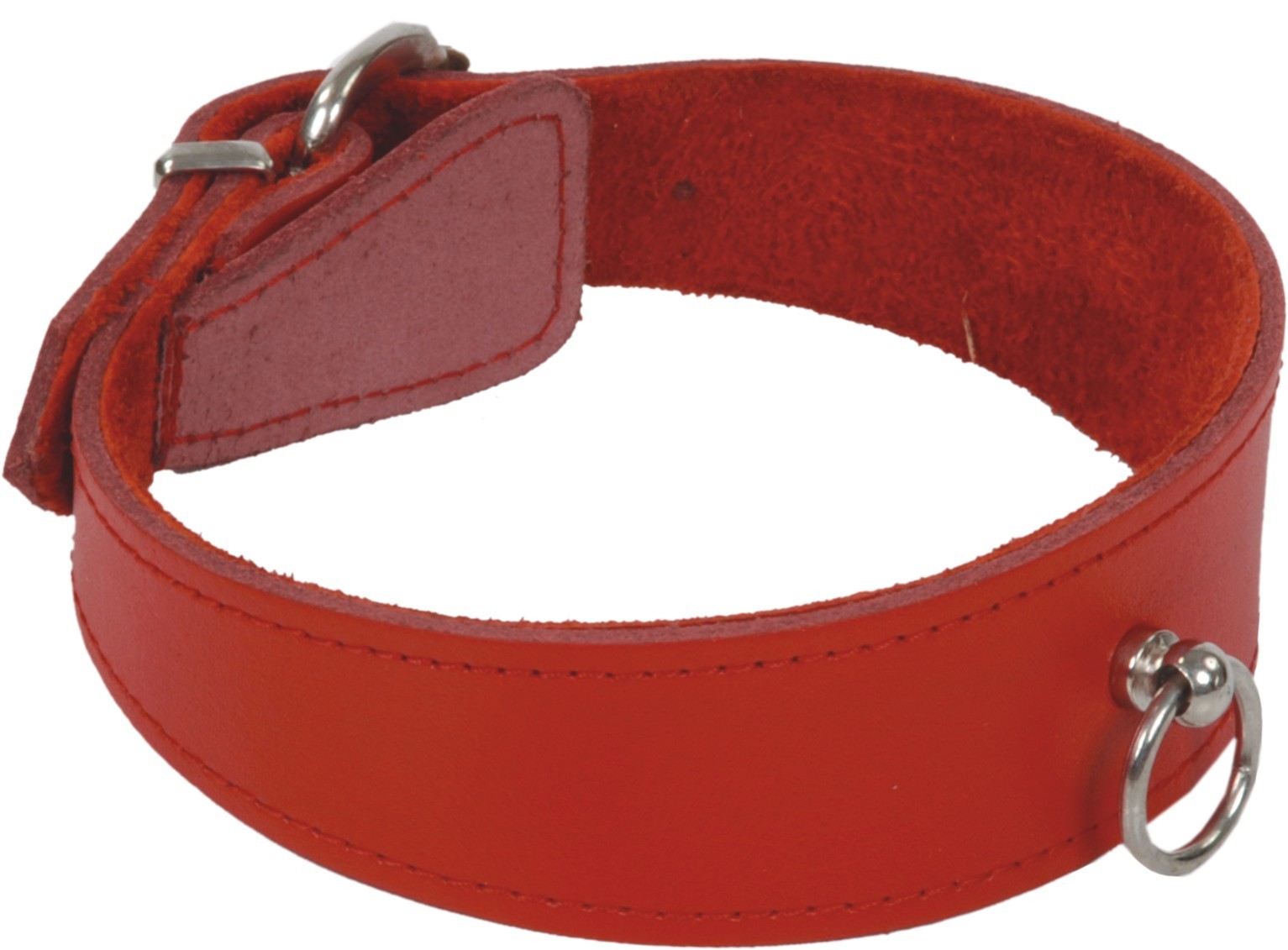 rotes Halsband