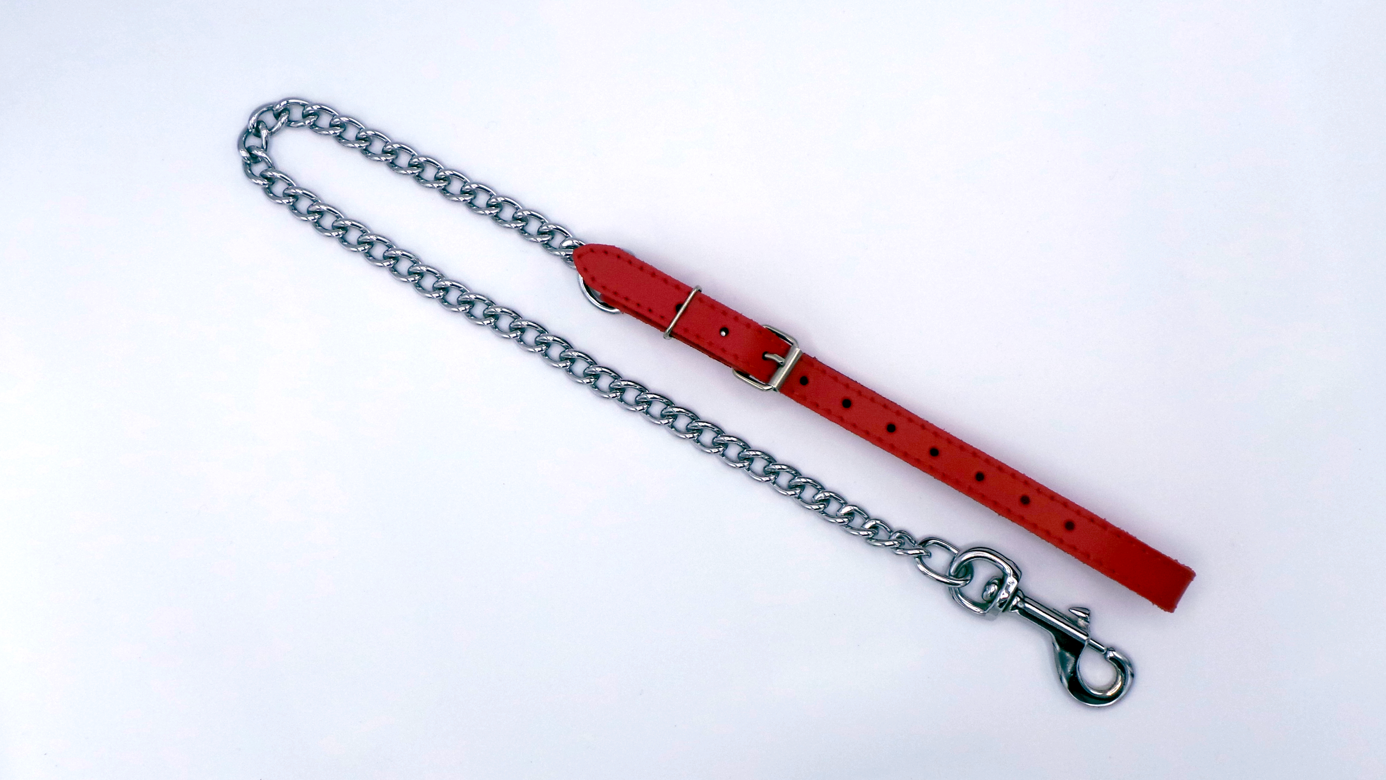 Führungsleine mit roter Handschlaufe