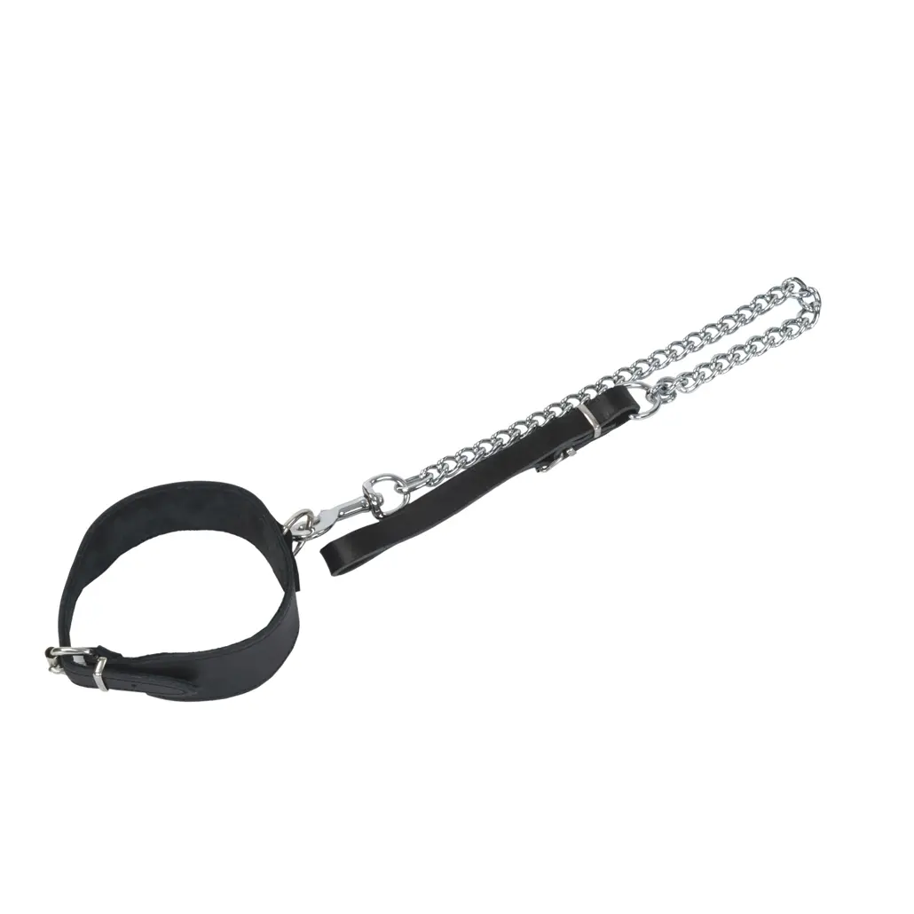 Schwarzes Lederhalsband mit Schnallenverschluss, seitlichem Halbring und angeschlossener Metallgliederkette, freigestellt auf weißem Hintergrund